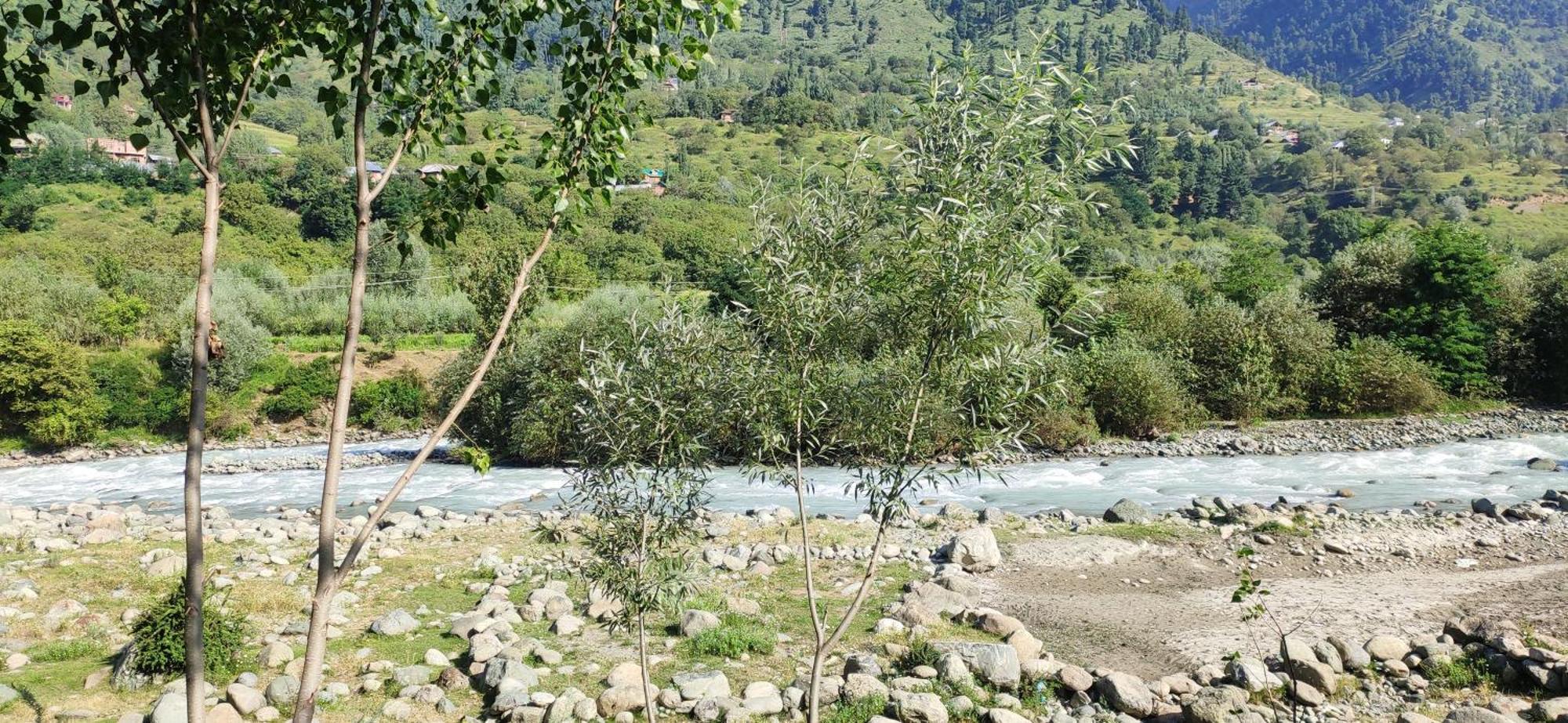 Dream River Resort Pahalgām Buitenkant foto